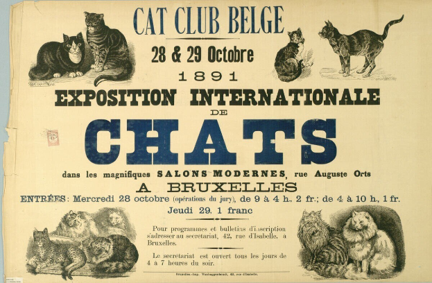 Katzen: Die stilvollen Stars der Politik, Mode und Film