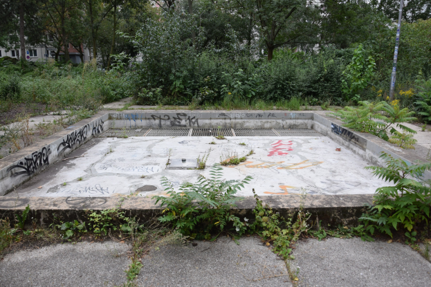 Verlassener Swimmingpool mit Graffiti bedeckt, umgeben von wild wachsenden Bäumen und Pflanzen, mit einem Pfahl in der Nähe, vor Buildings und einem klaren blauen Himmel.