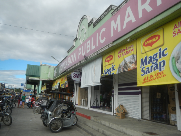 Eine belebte Stadtstraße mit parkenden Fahrzeugen, Fußgängern, Gebäuden, Strommasten, Bäumen und einem bewölkten Himmel, mit einem Geschäft im Vordergrund, auf dem "Bongabon Public Market" steht.