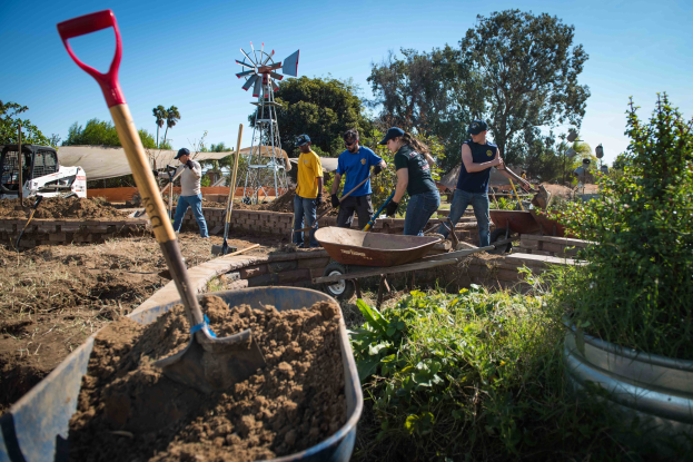 Eine Gruppe von Menschen, die mit Schaufeln in einem Garten arbeiten, umgeben von Pflanzen, Bäumen und einer Windmühle im Hintergrund, mit einem Eimer Erde im Vordergrund.