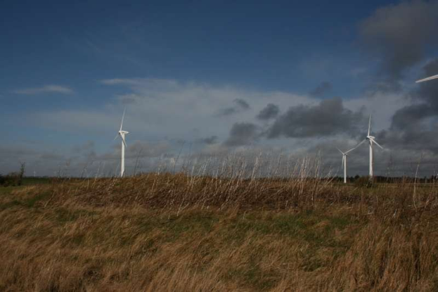 Ein Feld von Windrädern auf einer grünen Wiese mit Bäumen im Hintergrund und Wolken am Himmel, wahrscheinlich Teil eines Windparks in den Niederlanden.