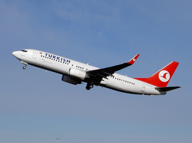 Ein Airbus A320-200 der Turkish Airlines fliegt in einem klaren blauen Himmel mit einem Pfahl am unteren Bildrand.