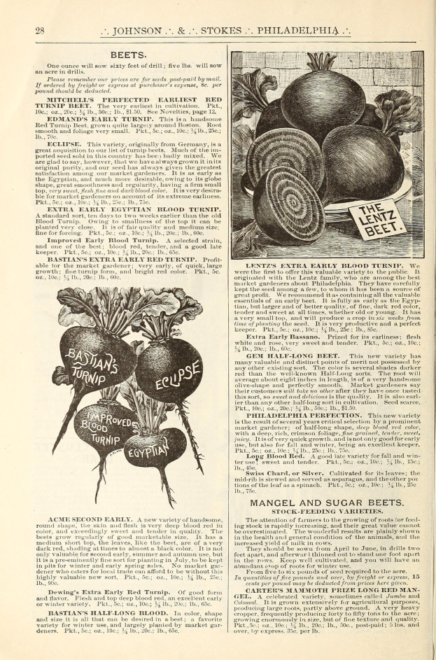 Offenes Buch mit Bildern und Text über Gemüse, einschließlich Rüben, die auf seinen Seiten ausgebreitet sind.