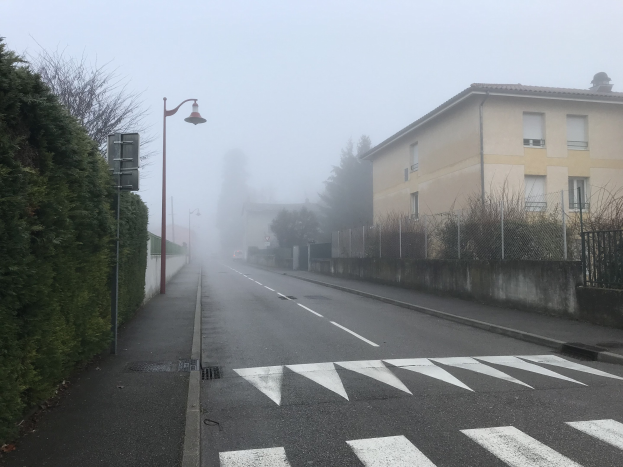 Eine Straße mit Zebrastreifen, Bäumen auf der linken Seite, Gebäuden auf der rechten Seite, einem nebligen Himmel und beleuchteten Straßenlaternen.