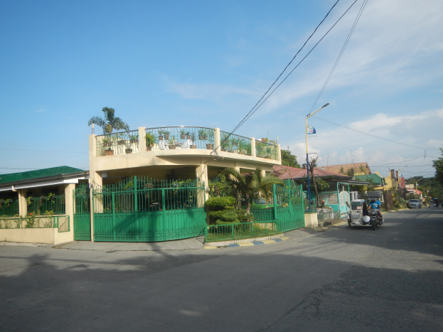 Straße mit Fahrzeugen, ein grünes Gebäude mit einem grünen Zaun, Geländern, Pflanzen, Bäumen, Pfählen, Lampen, Drähten und einer Flagge bei einem bewölkten Himmel.