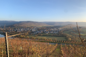 Ein malerischer Blick auf das Rheintal von einem Hügel aus, mit grünen Blättern, Häusern und einer Brücke, die den Fluss überspannt, vor einem blauen Himmel und sanften Hügeln.