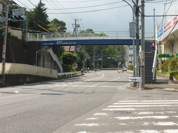 Stadtstraße mit einer Fußgängerbrücke darüber, Fahrzeuge auf der Straße, Strommasten mit Kabeln, Verkehrsampeln, Schilder, Gebäude mit Fenstern, Bäume und ein Himmel im Hintergrund.